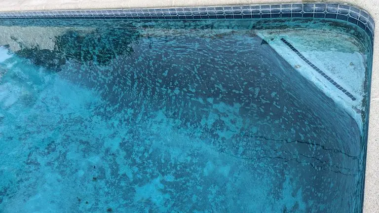 Black algae in pool plaster showing dark spots along the wall of an Atlanta pool