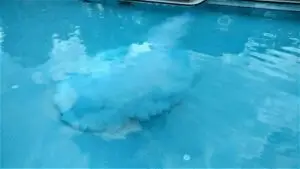 Cloudy pool water with a milky haze in an Atlanta backyard pool