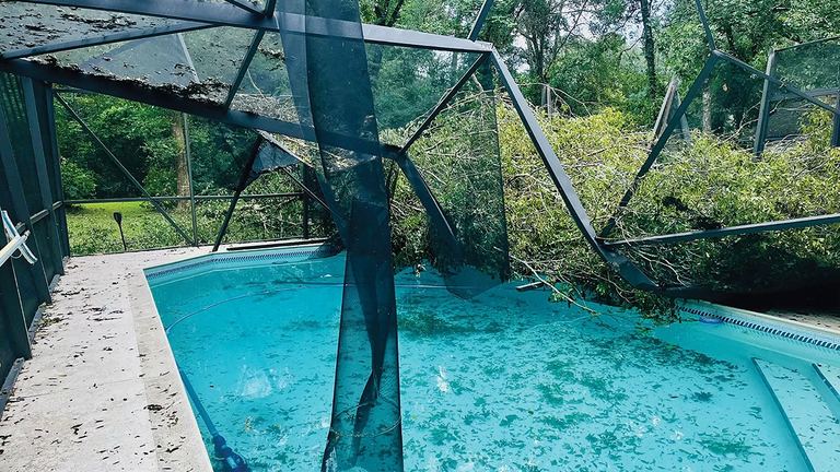Shaded swimming pool with leaf and pollen debris under Atlanta tree canopy