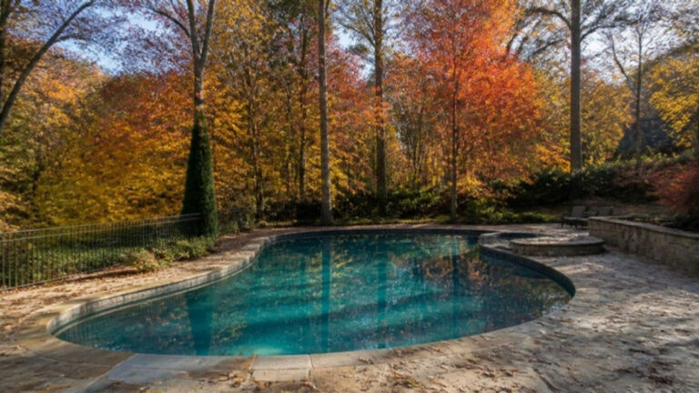 Autumn leaves on an Atlanta pool, the season a leaf net for pool protection earns its keep