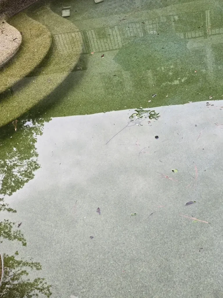 Before: neglected pool with green water and a worn interior before renovation in Atlanta, GA